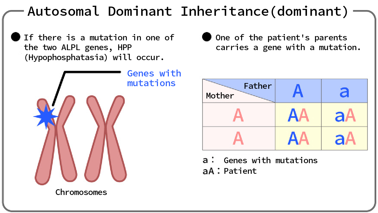 Autosomal Dominant Inheritance (dominant)