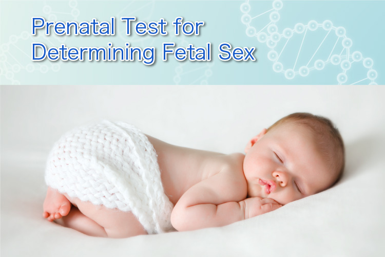 Prenatal Test for Determining Fetal Sex