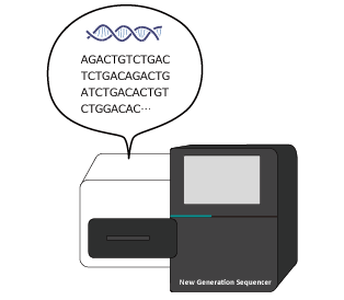 Chromosomes amplified (PCR Method)