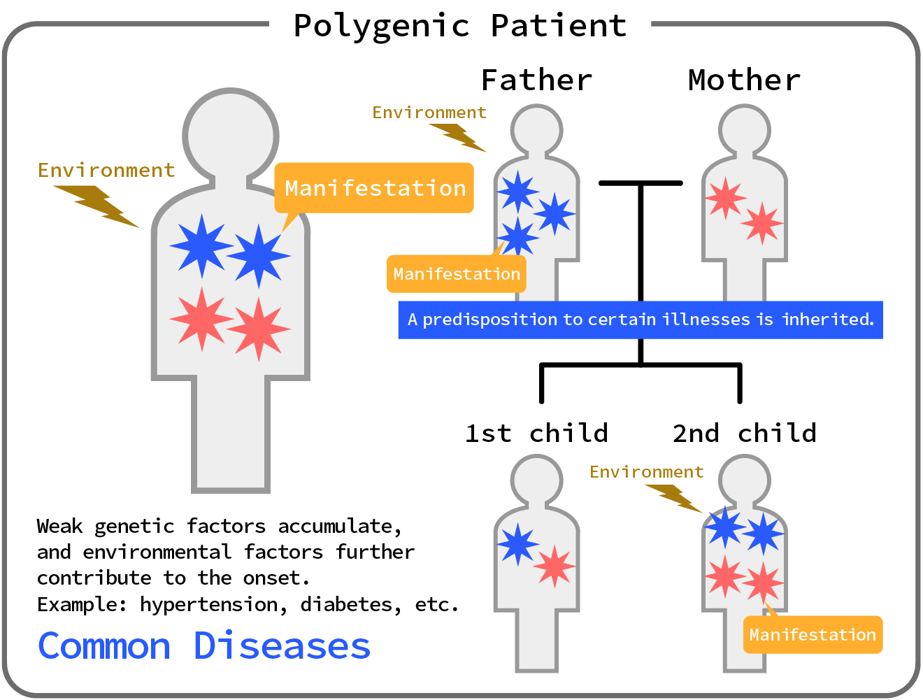 Polygenic Patient