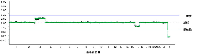 图3　3三体性马赛克 16单体性马赛克 女性