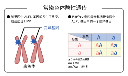 常染色体隐性遗传病