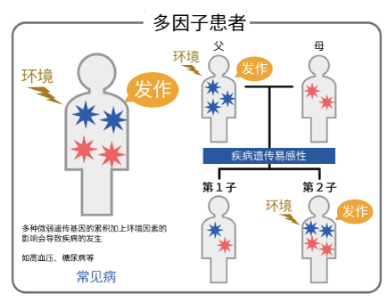 多基因遗传疾病