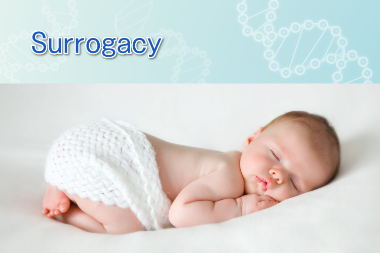 Surrogacy Program